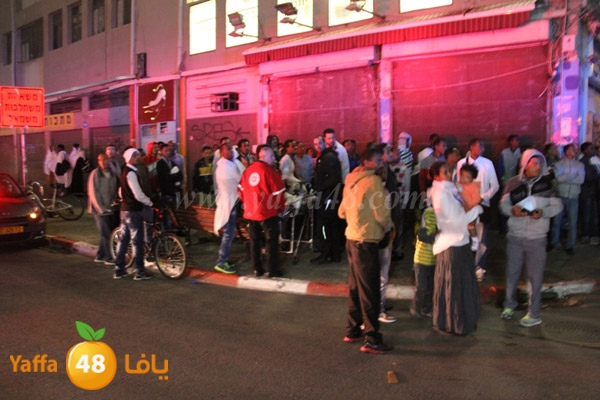 shejar aretreeien (1).JPG